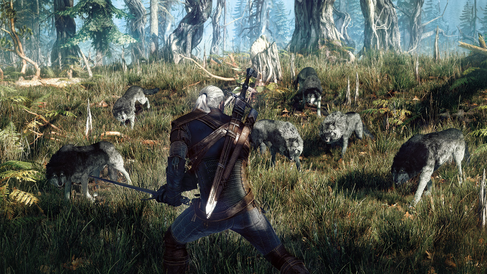Screenshot-Geralt-Combat-Wolves-Grass.jpg