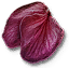 Tw3 ginatia petals
