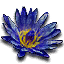 Tw3 blue lotus