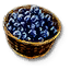 blueberries food consumable witcher 3 wiki