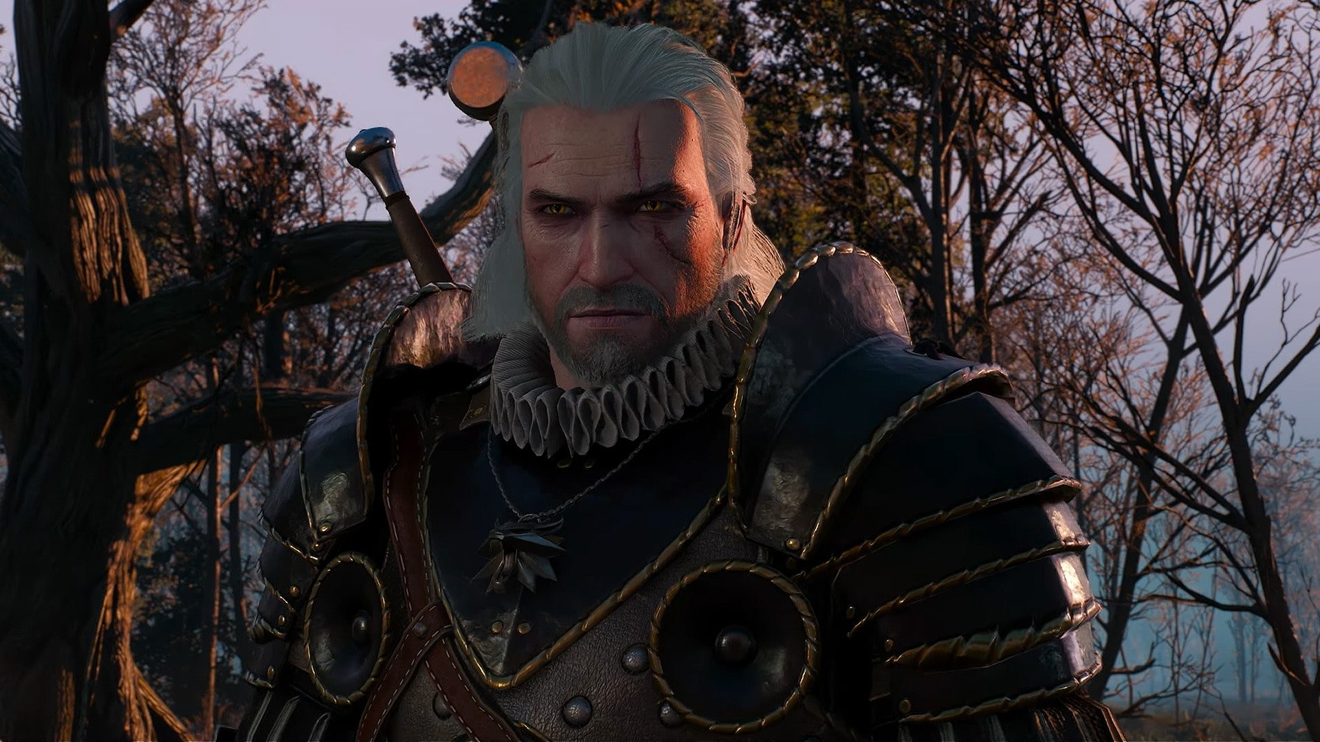 The witcher 3 fps low фото 81