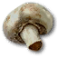 mushroom food witcher 3 wiki guide
